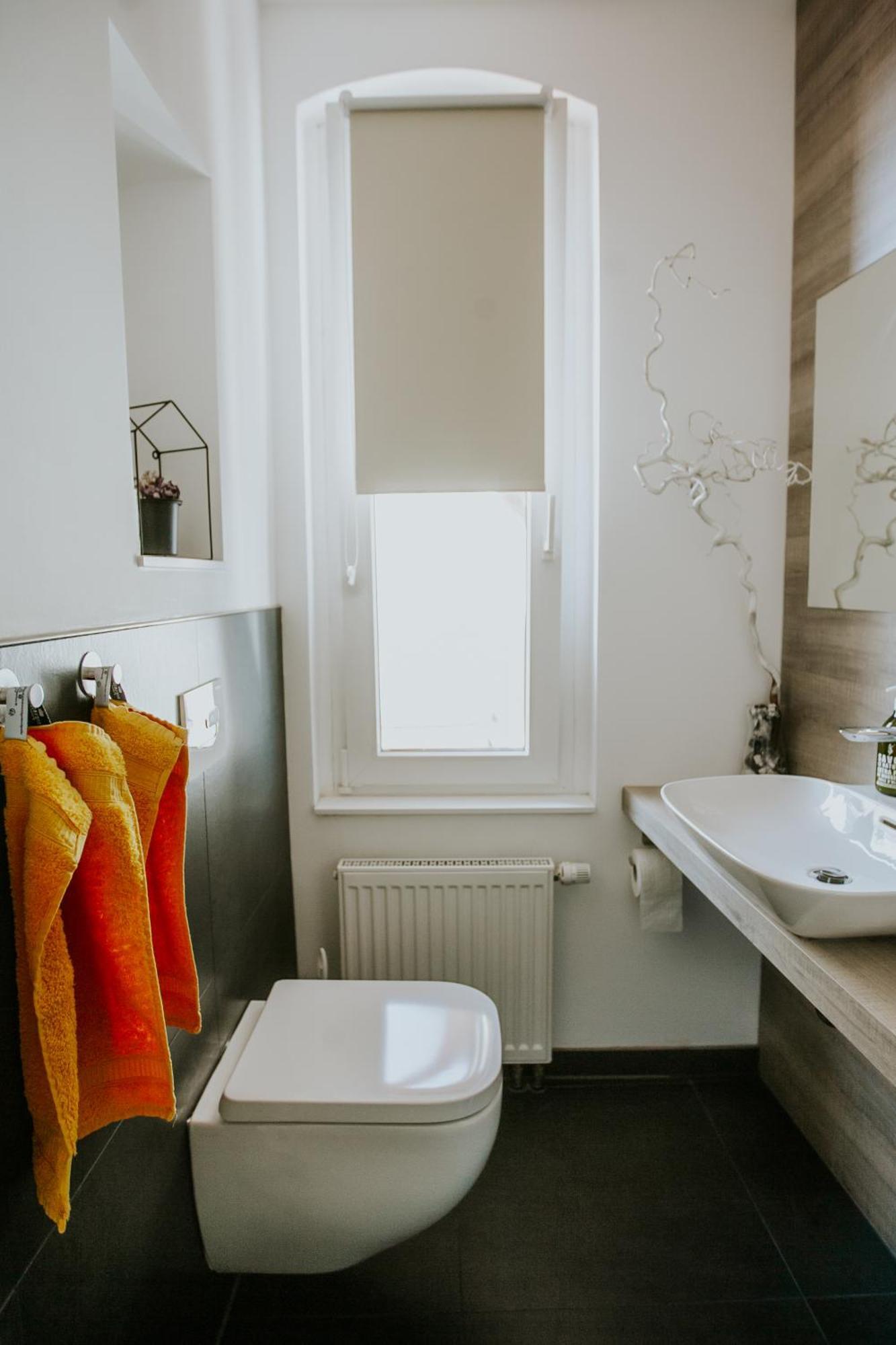 Apartment Traumhaftes Am Dom Mit Grosser Dachterrasse Zwickau